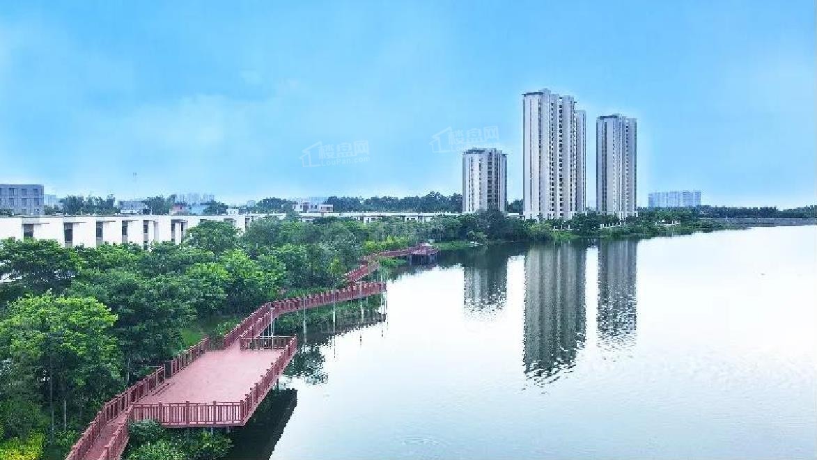 项目实景图