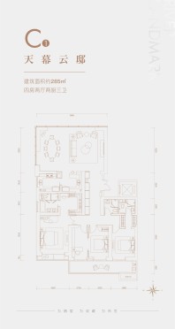 285平C1户型图