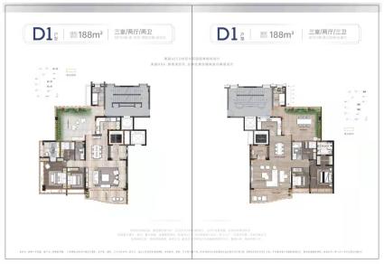 B2/D1户型