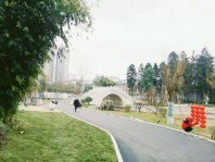 王府广场周边莲花池公园