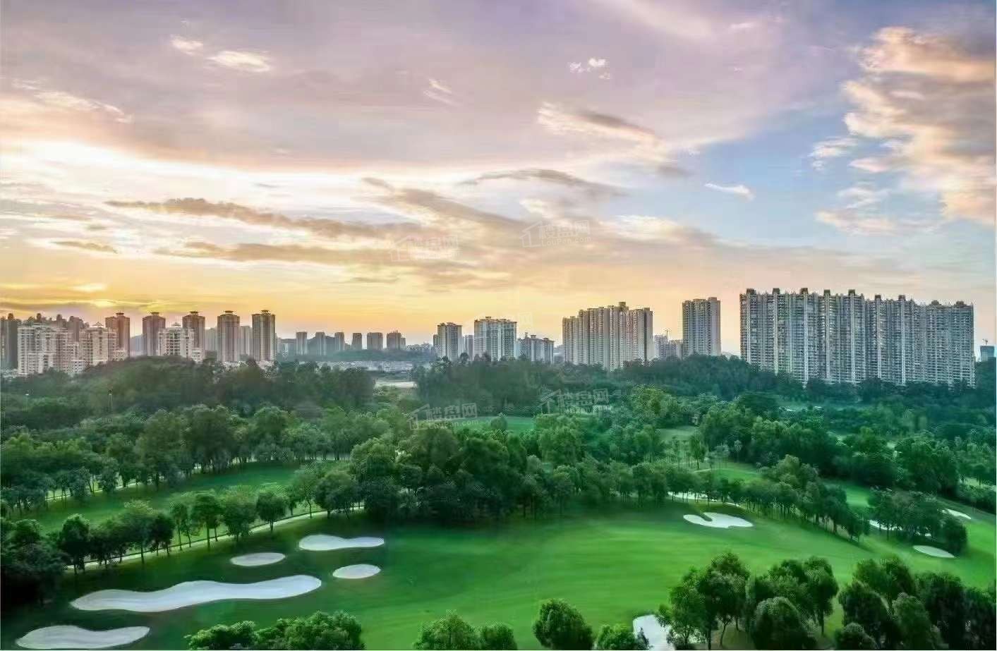 蓬江区蒲葵之梦天心的房子物业价格合理吗？住宅总数多少？