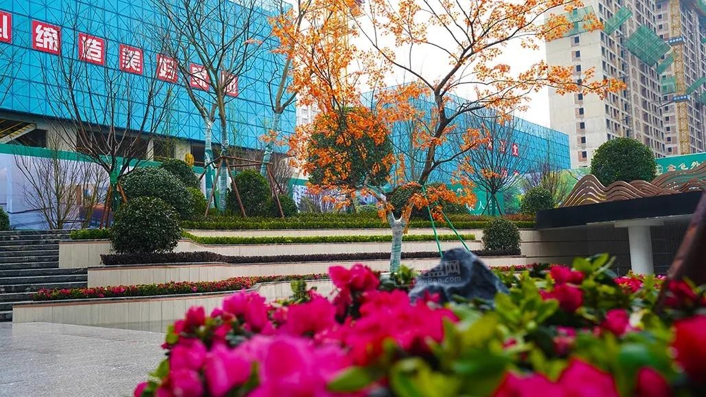 汇樾·金色外滩实景图