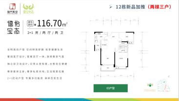 12栋116.7平2+1房