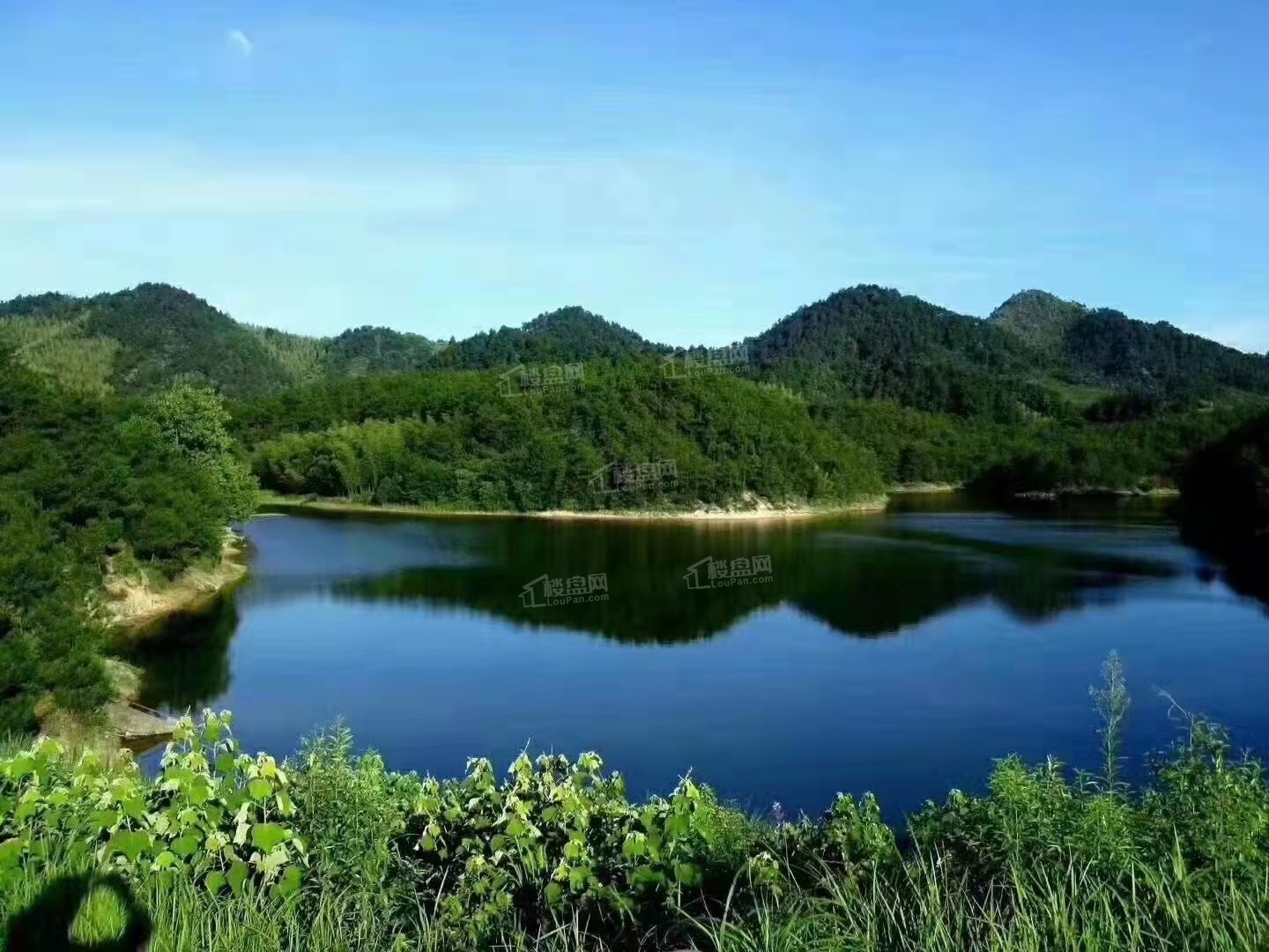 龙王溪实景图
