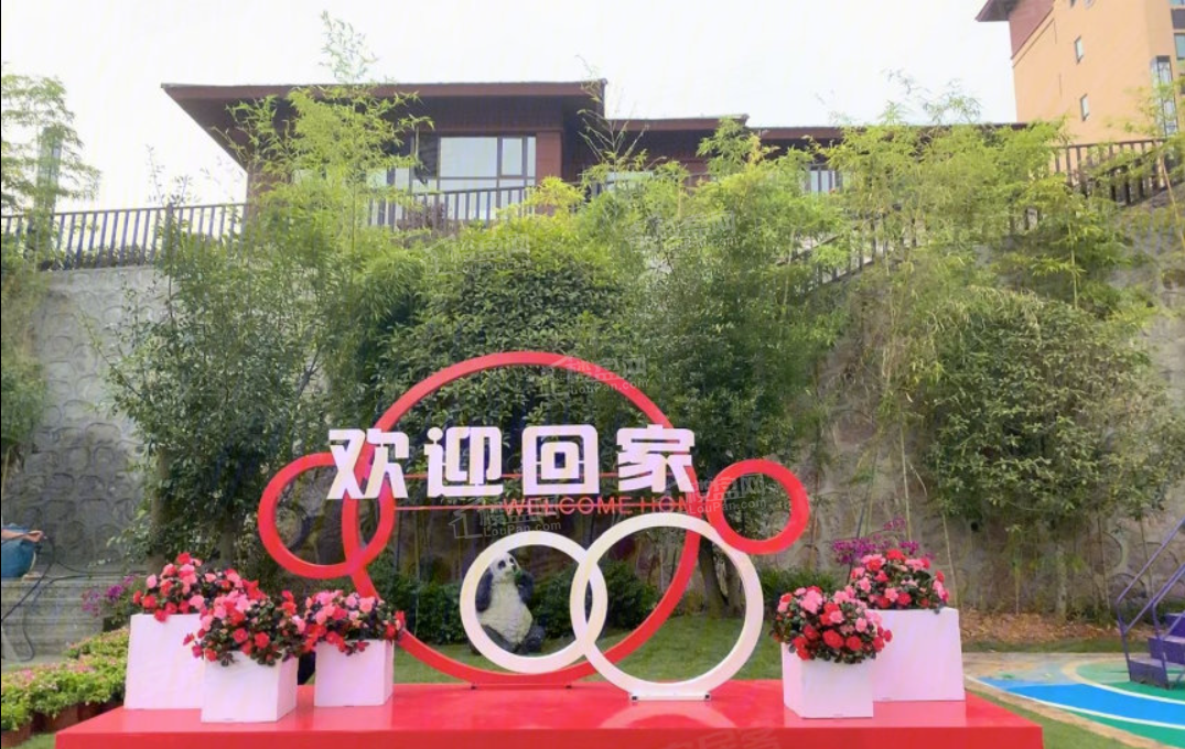 实景图