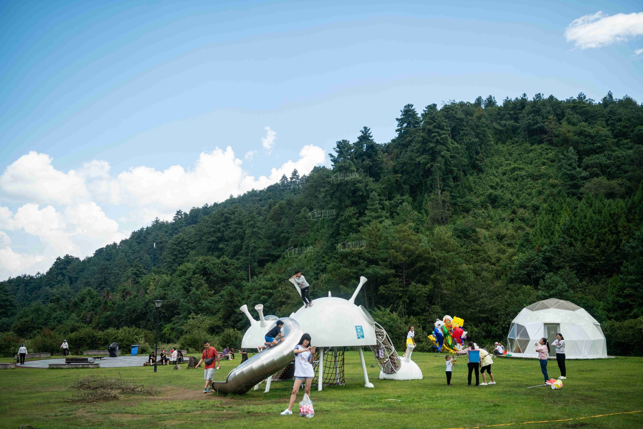 火山音乐节实景图