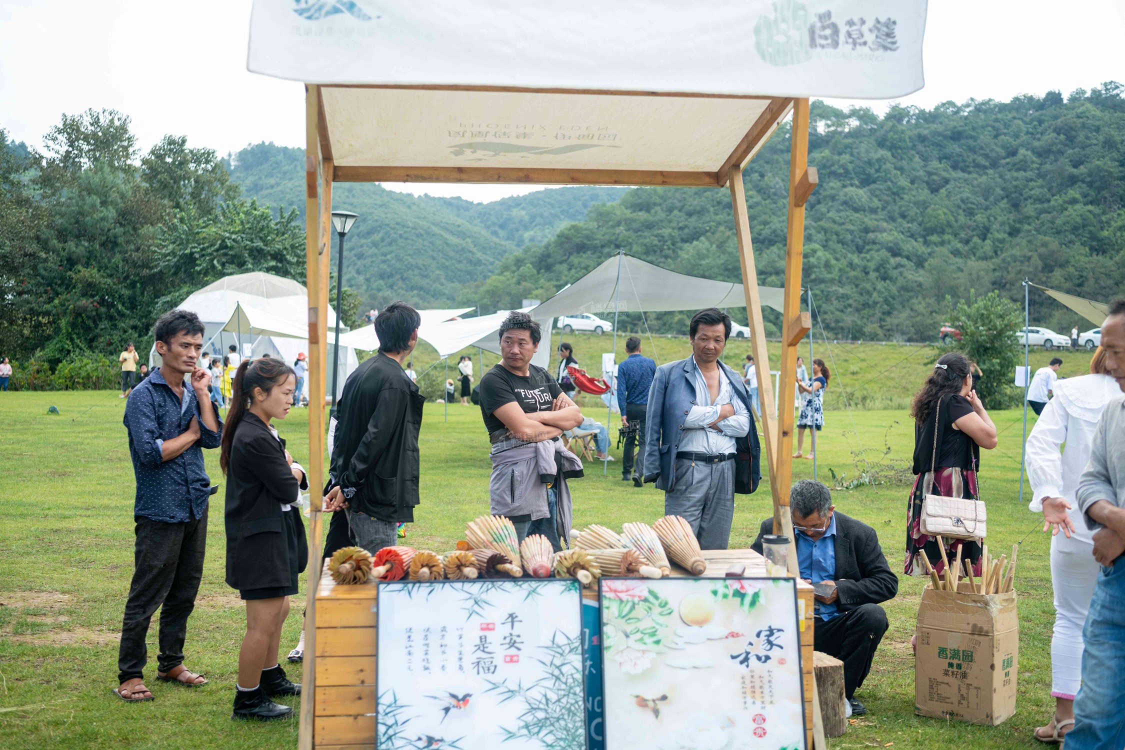 火山音乐节实景图