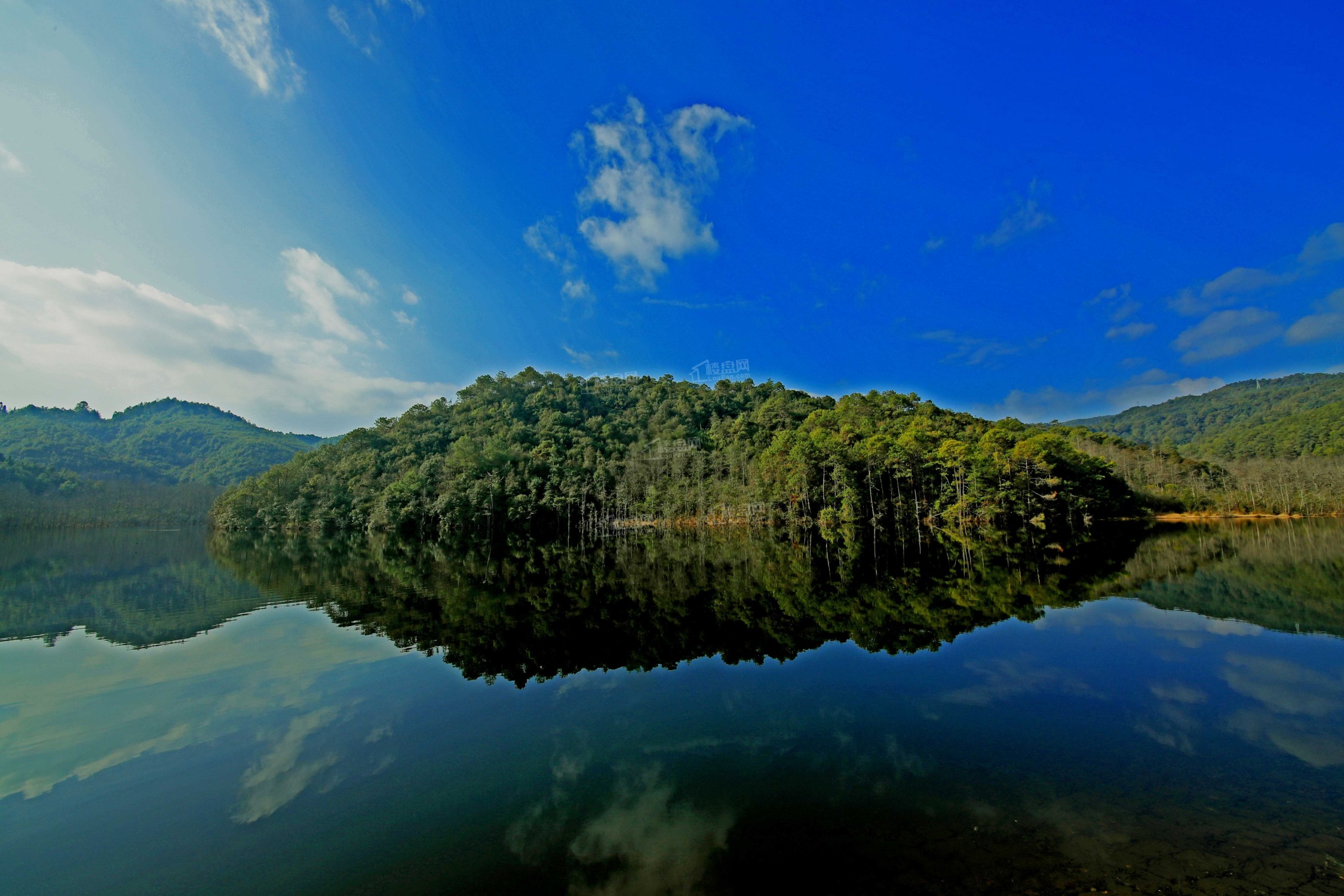 白草坝实景图