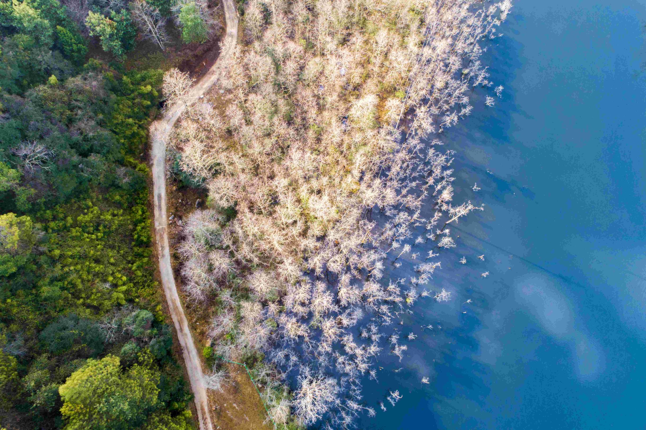 白草坝实景图