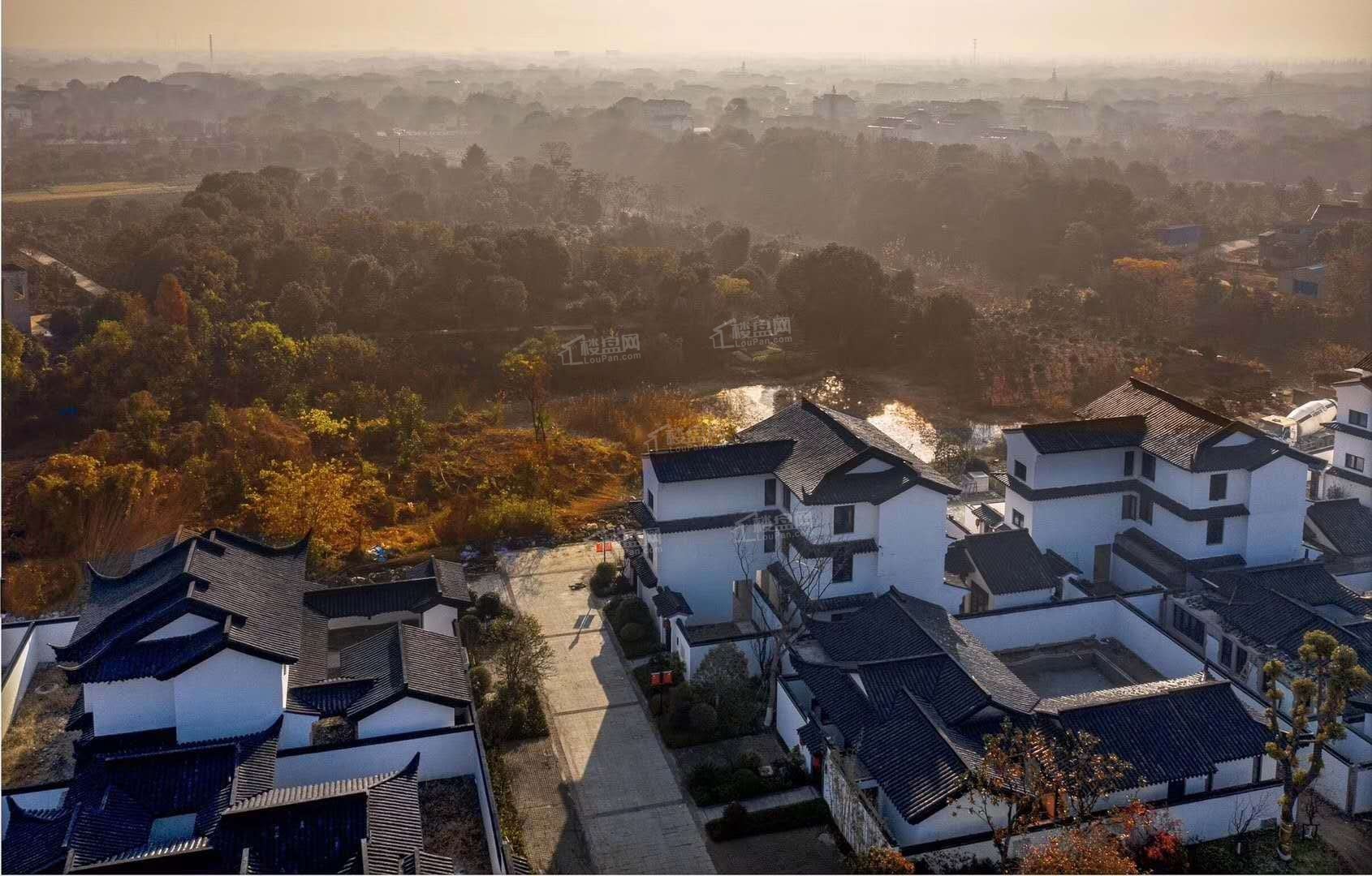 常州泰富江南印象别墅图片