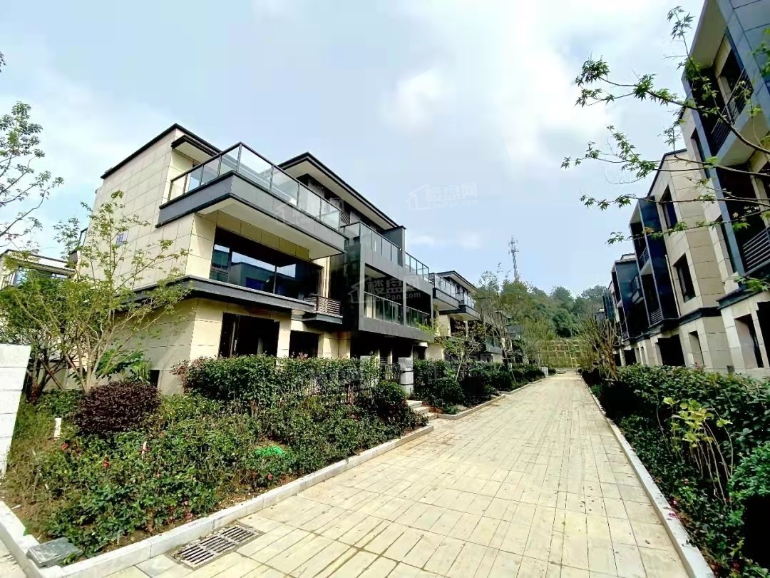 桐林别院_安吉桐林别院房价_楼盘怎么样-安吉楼盘网