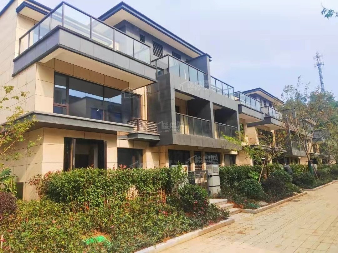 桐林别院_安吉桐林别院房价_楼盘怎么样-安吉楼盘网