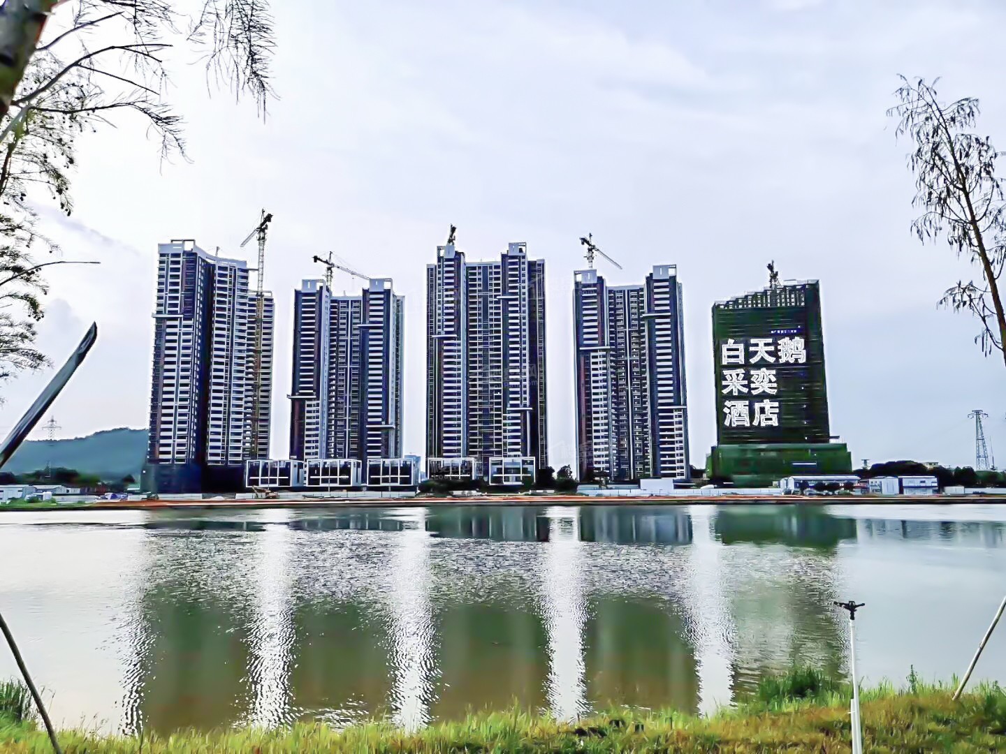 白天鹅阅海配套图