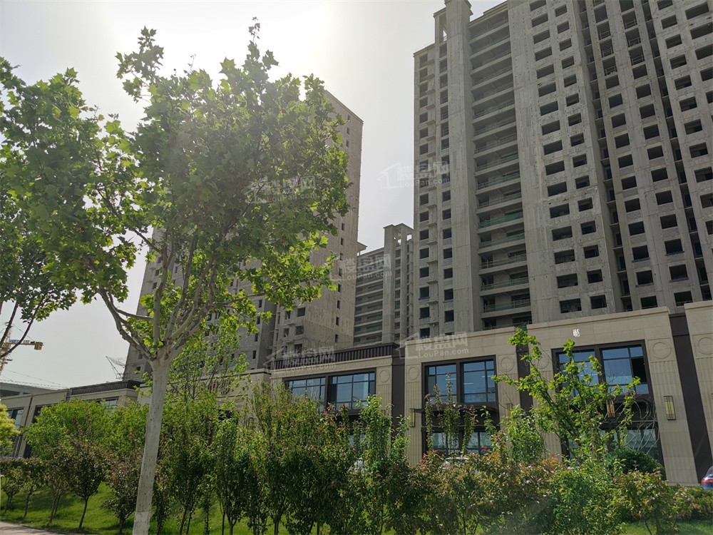 廊坊金融街·金悦郡:星级物业服务标准,从细节见证品