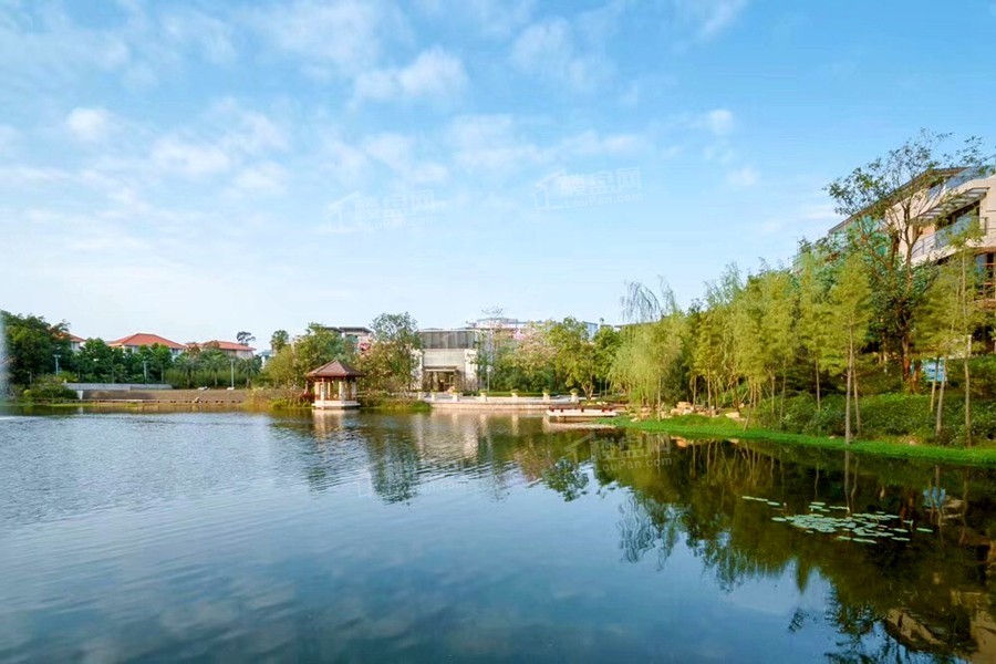 7500㎡中心自然湖景