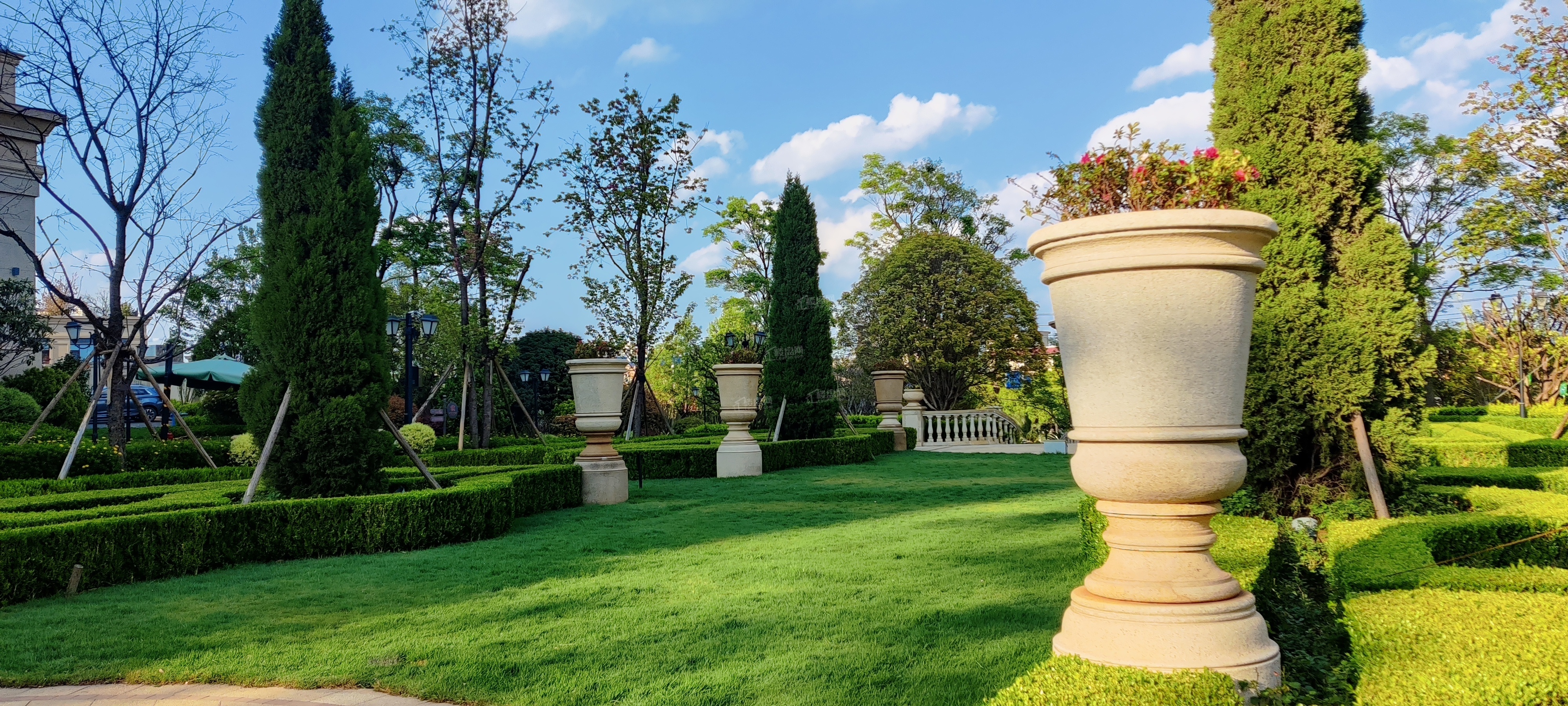 金波玫瑰园小区实景图(摄2022.4)