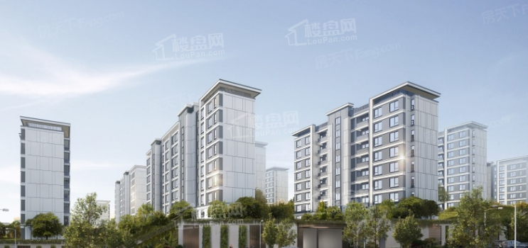 买房须知|重庆2024年哪个区房价最高？哪些盘比较热销？