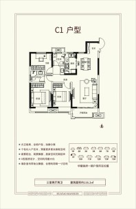 户型C1