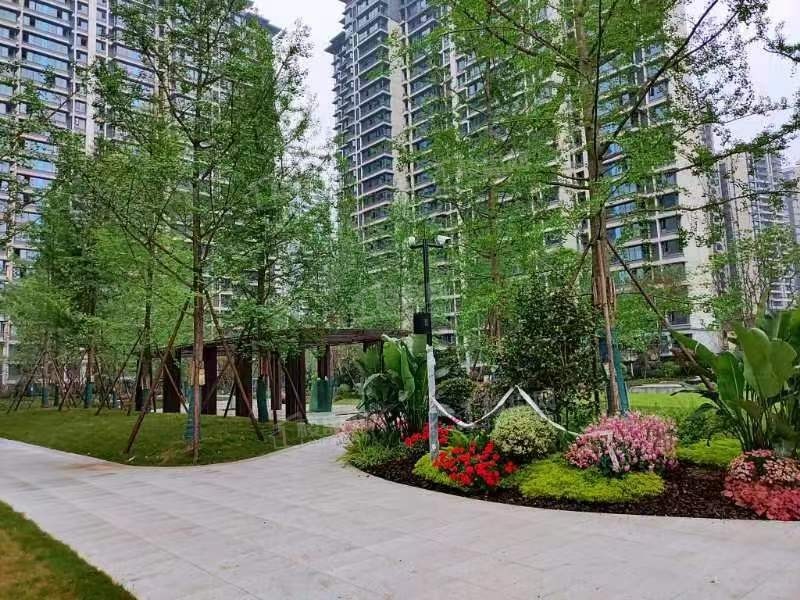 天立61御景峰_乐山天立61御景峰房价_楼盘怎么样-乐山楼盘网