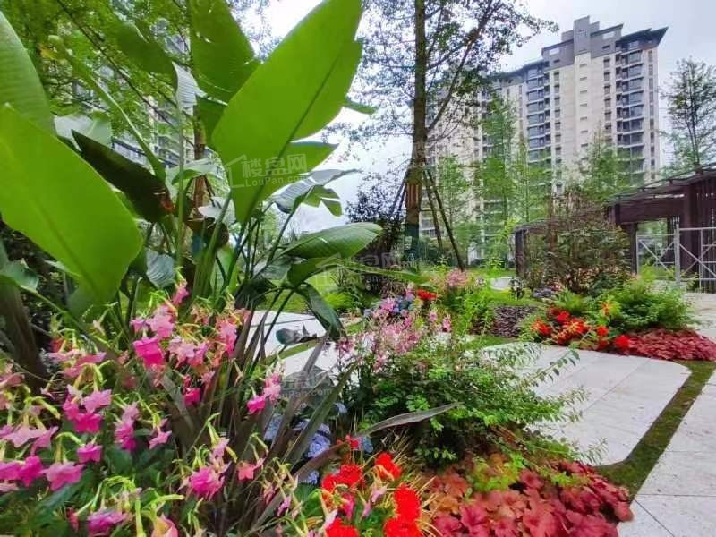 天立61御景峰_乐山天立61御景峰房价_楼盘怎么样-乐山楼盘网