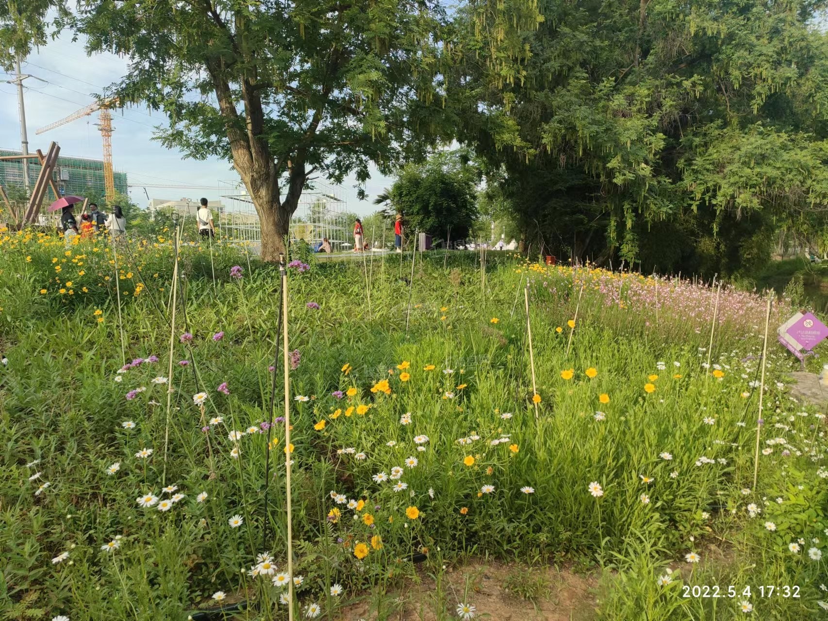 十里花溪公园麋鹿星球