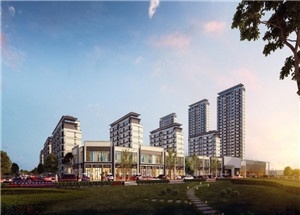 滁州万兴花半里高清图