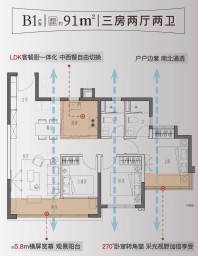 B1户型约91㎡三房两厅两卫