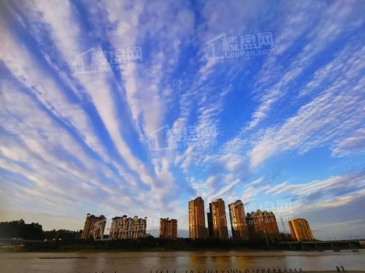 滟澜洲繁花里实景图