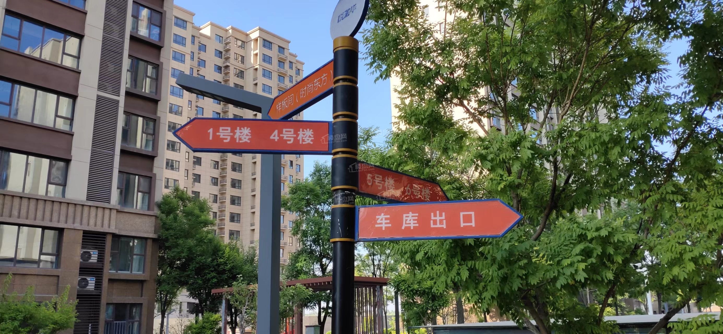 碧桂园·悦融华实景图