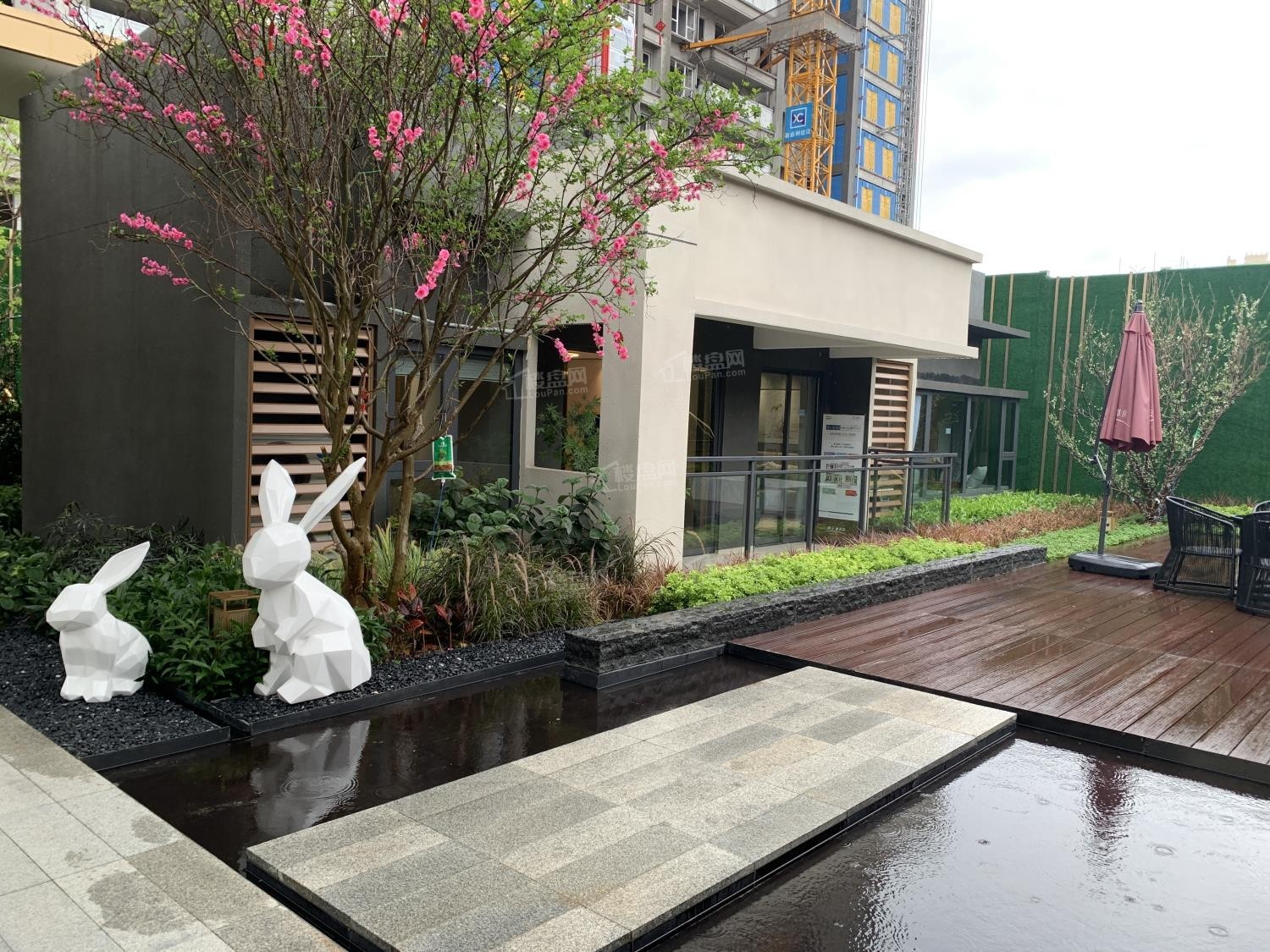 碧桂园星禧_广州碧桂园星禧房价_楼盘怎么样-广州楼盘网