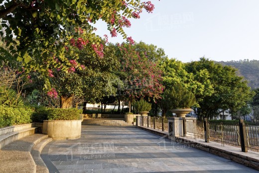 金湖花园实景图