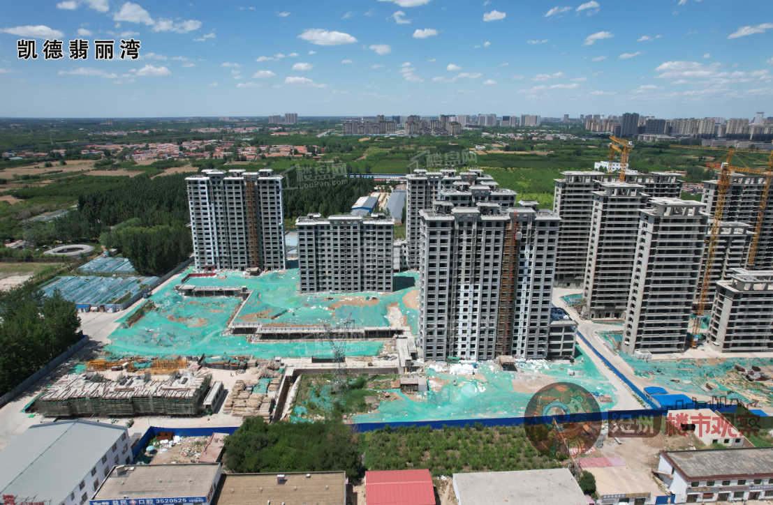 凯德翡丽湾施工进度图