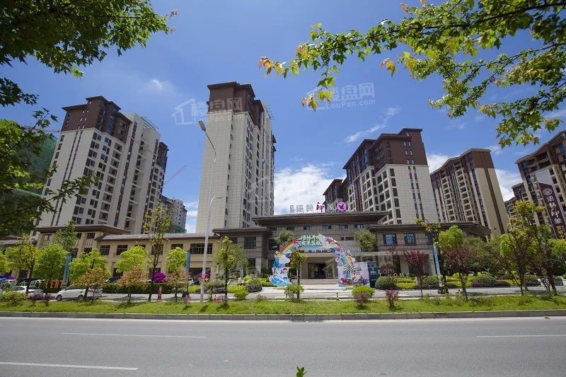 实景图
