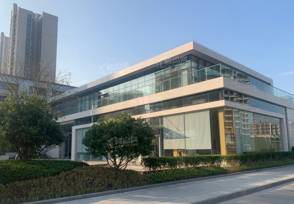 中洲城邦实景图