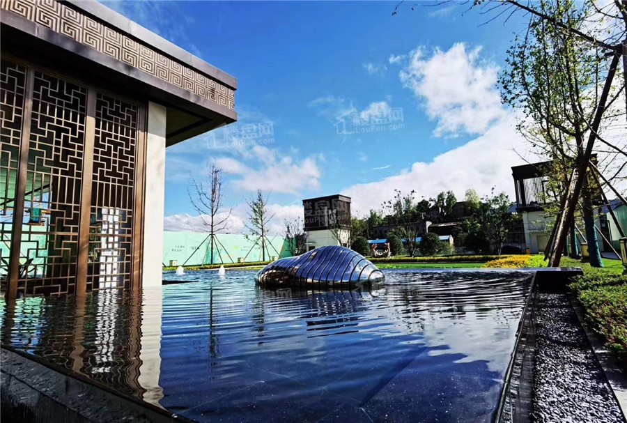 中迪·绥定府实景图
