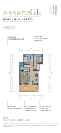 森林汤浴洋房G1户型