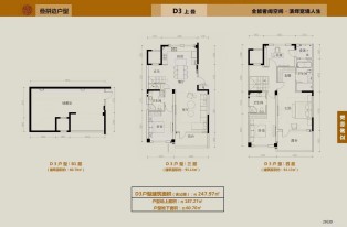 叠拼户型：D3上叠