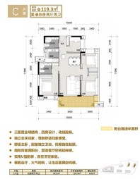 C户型 四房两厅两卫 119.3㎡