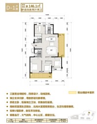 D-1户型 四房两厅两卫 146.1㎡