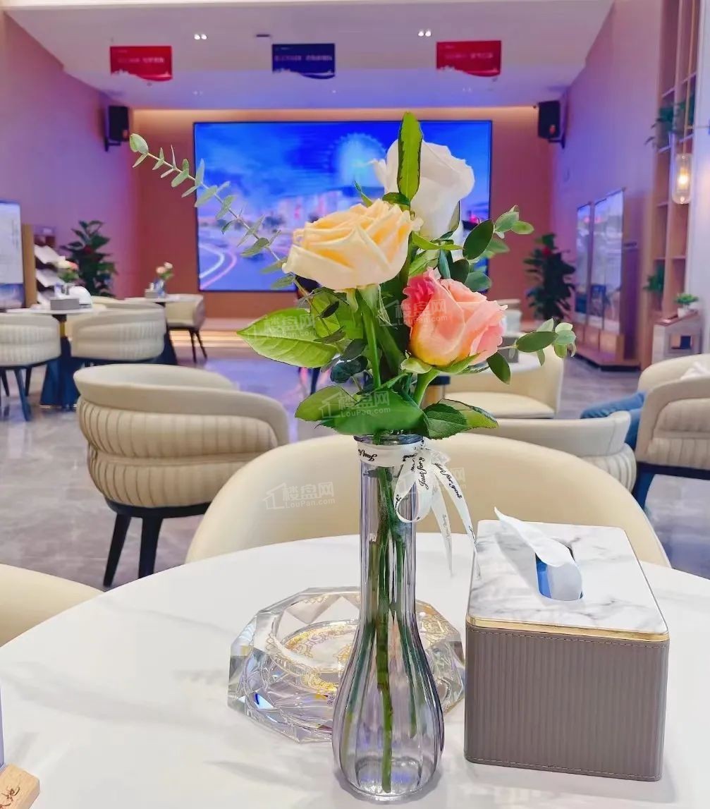 锦晨黄梅天地好吗？绿化率高不高？物业费几块钱一平方？