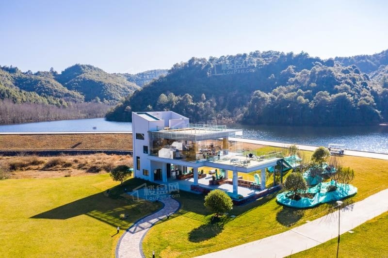 凤凰保集伊甸园