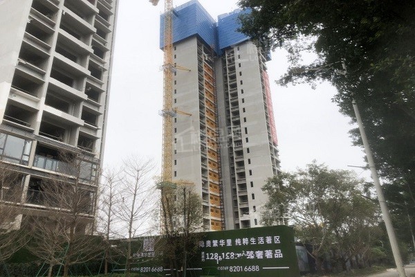 粤港湾华堂里8号实景图