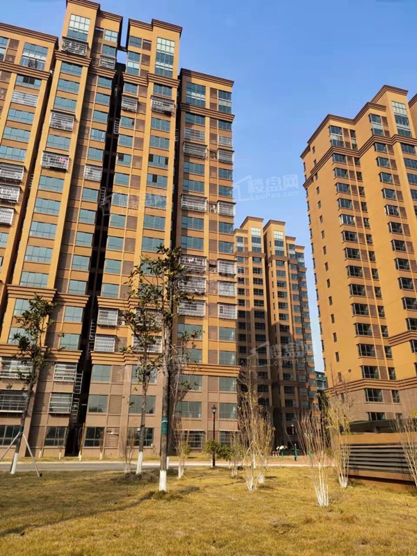 株洲新房启辰家园、金科景朝集美云湖对比哪个好?