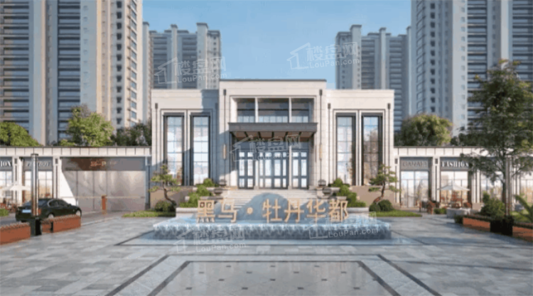 德州牡丹华都高清图