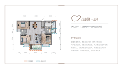 康锦名门C2户型