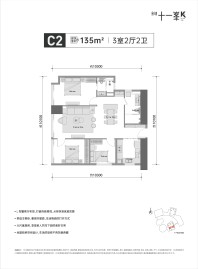 金地十一峯C2户型