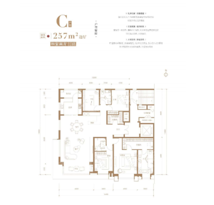 C户型  257㎡边厅  四室两厅三卫