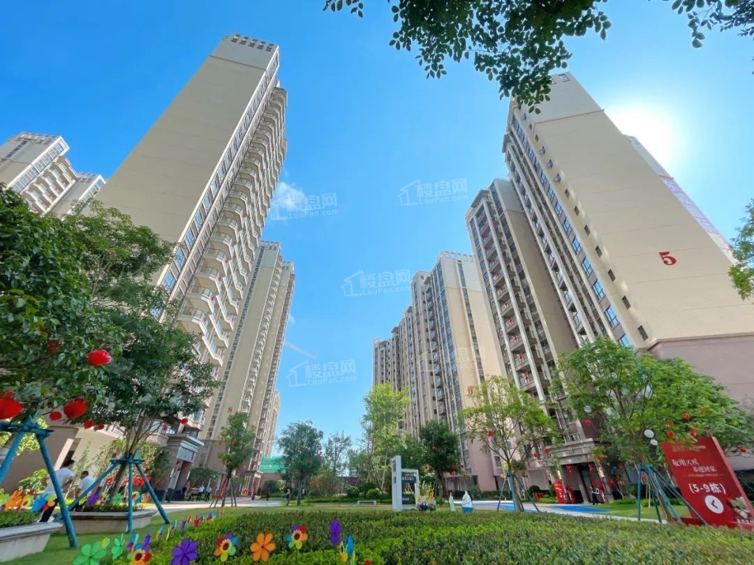 河源霸王花东城国际效果图_实景图_样板间-河源楼盘网