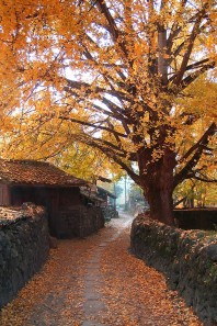 雅居乐云南原乡配套图