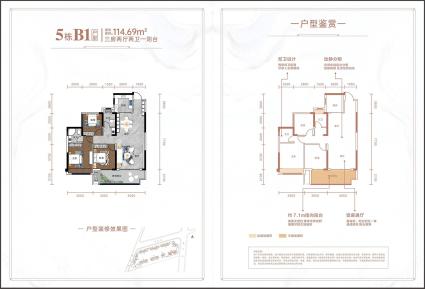 爱莲首府5栋B1户型